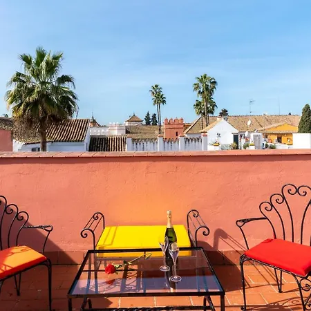 فيلة Holi-rent Pimienta